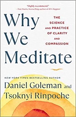 Why We Meditate: The Science and Practice of Clarity and Compassion, Daniel Goldman, Tsoknyi Rinpoche