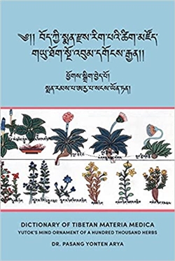 Bod kyi sman rdzas rig pa'i tshig mdzod( Dictionary of Tibetan Materia Medica)