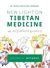 New Light on Tibetan Medicine: Volume 2 - Methods