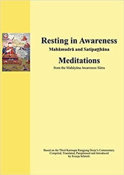 Resting in Awareness (Volume 1): Mahamudra and Satipatthana, Svenja Schmitt