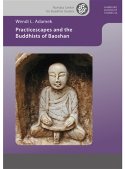 Practicescapes and the Buddhist of Baoshan, Wendi L. Adamek