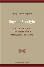 Rays of Sunlight: A Commentary on  The Heart of the Mahayana Teachings