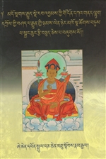 sprang chung rtsi bcud (Rich Honey: The Collected Minor Writings of Various Points of Sutra and Tantra)