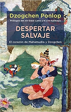 Despertar salvaje: El corazon de Mahamudra y Dzogchen