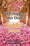 What Happens After Death? Buddha Answers