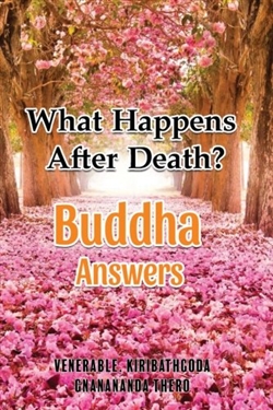 What Happens After Death? Buddha Answers