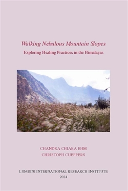 Walking Nebulous Mountain Slopes