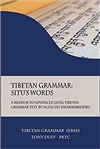 Tibetan Grammar: Situ's Words, Tony Duff