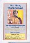 Vast Heart, Profound Mind (DVD Public Talk)