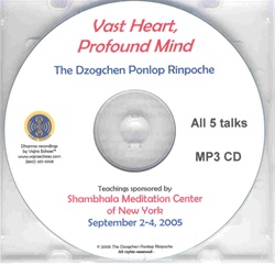 Vast Heart, Profound Mind (MP3 CD)