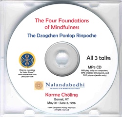 The Four Foundations of Mindfulness (MP3)