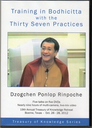 Training in Bodhicitta with the 37 Practices (DVDs)