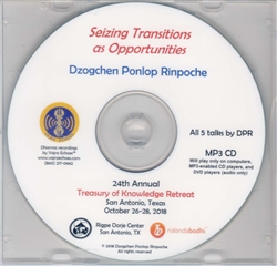Seizing Transitions as Opportunities (MP3CD)