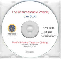 The Unsurpassable Vehicle (MP3 CD)