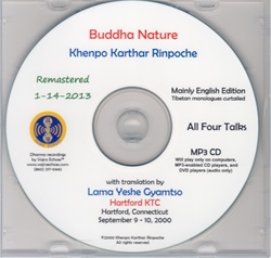 Buddha Nature (MP3)