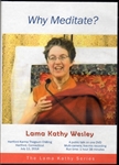 Why Meditate? (DVD)