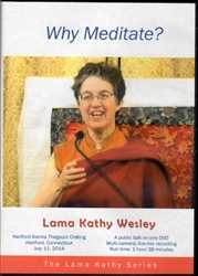 Why Meditate? (DVD)
