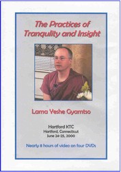 The Practices of Tranquility and Insight (DVD)