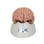 3B Scientific Classic Human Brain Model, 5 Part - 3B Smart Anatomy