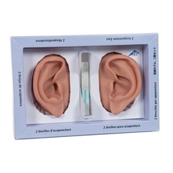 3B Scientific Ear Set, One Left and Right Ear