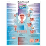 3B Scientific Birth Control Chart (Laminated)