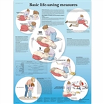 3B Scientific Basic Life Support Chart (Laminated)