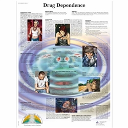 3B Scientific Drug Dependence Chart (Lamination)