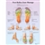 3B Scientific Foot Reflex Zone Massage Chart (Laminated)