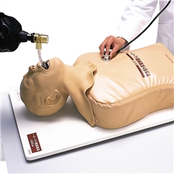 3B Scientific Endotracheal Intubation Simulator