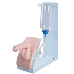 3B Scientific Catheterization Simulator Basic, Male