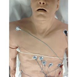 Nasco Simulaids 12-Lead Arrhythmia Simulator with Manikin Overlay, Zoll - Large