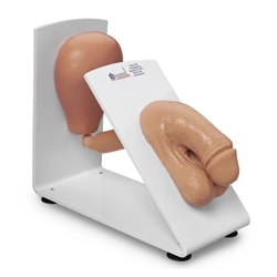 Nasco Simulaids Male Catheterization Training Model