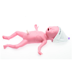 Laerdal Premature Anne Task Trainer