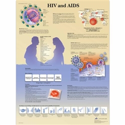 3B Scientific HIV and AIDS Chart (Non Laminated)