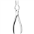 Sklar Walsham Septum Straightening Forceps, Straight - 9"