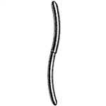 Sklar Hegar Uterine Dilator, Double End 11mm/12mm