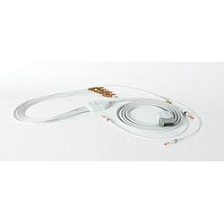 46" Lead Form Patient Cable, 12-lead, 10-wire - AHA (Holter)