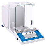 Analytical Balance (AS 310.3Y)