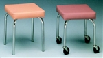 Bailey Physical Therapy Stool