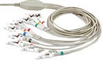 Nasiff 10-Lead EKG Patient Cable