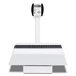 Detecto Baby Scale - Digital - Tray - 130lb x 0.1lb / 59kg x 0.5kg