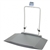 Doran Scales DS8030 Portable, Fold-up Wheelchair Scale