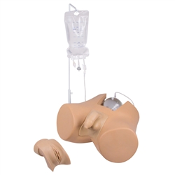 ERLER ZIMMER Bladder Catheterization Simulator Henri (Male)