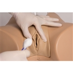 ERLER ZIMMER Bladder Catheterization Simulator Florence (Female)