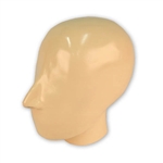 ERLER ZIMMER X-ray Phantom Head with Cervical Vertebrae (Opaque)
