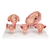 3B Scientific Pregnancy Models Series, 5 Embryo & Fetus Models on a Base Smart Anatomy