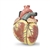 Nasco Jumbo Heart Model (3-Part)