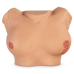 Nasco Life or Form Advanced Breast Exam Simulator