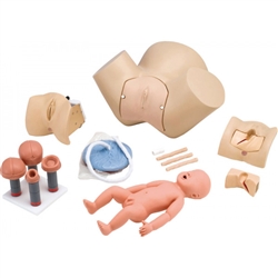 Erler Zimmer Multipurpose Birth Simulation Model