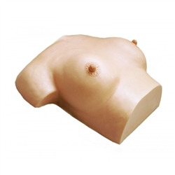 Erler Zimmer Breast Care And Massage Model